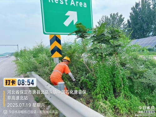 9ed82643ee84c0cae6ff8306a4a356b_副本.jpg
