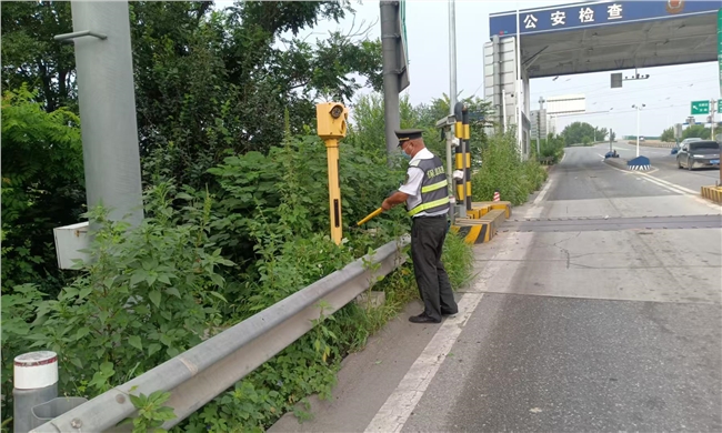mmexport1755157262725.jpg