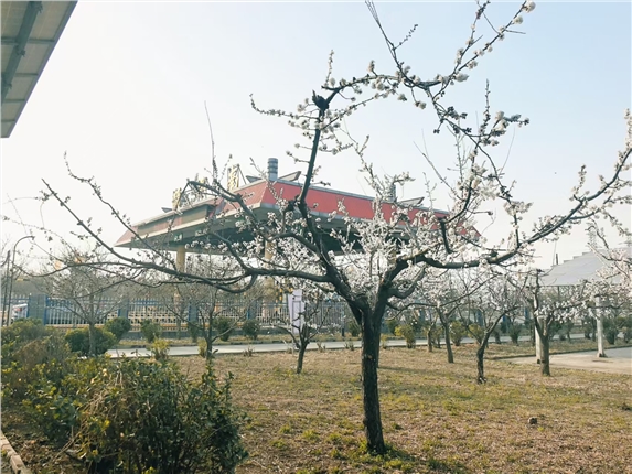 17f4af8366f9c00285de5b91e0eebc1a.jpg 17f4af8366f9c00285de5b91e0eebc1a.jpg