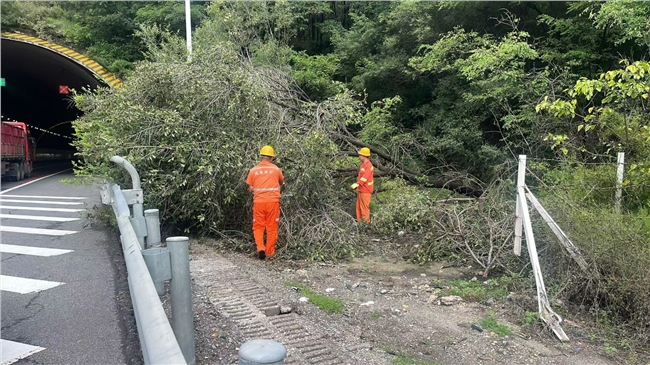 微信图片_20260901101932_83_390.jpg 微信图片_20260901101932_83_390.jpg